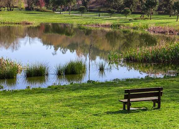 A bench sits on a grassy field next to a pond.