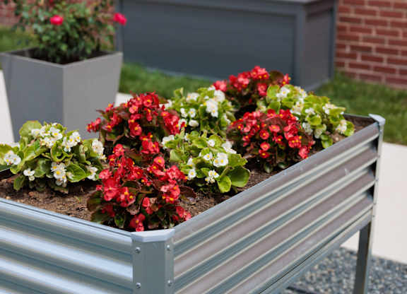 A planter box with red and white flowers.