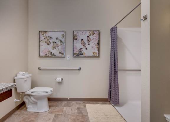 Accessible bathroom with grab bars and shower at Mountain Lakes Estates Apartments, Reno