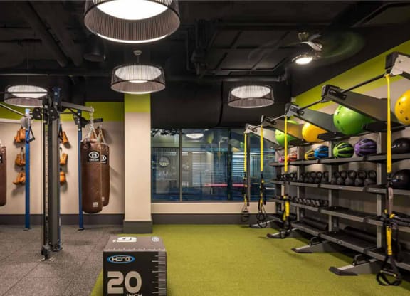 a workout room with green carpet and a row of punching bags on the wall  at Shearwood Station, New York, 10801