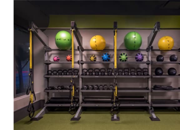 a fitness room with a rack of weights and other exercise equipment  at Shearwood Station, New Rochelle, NY, 10801