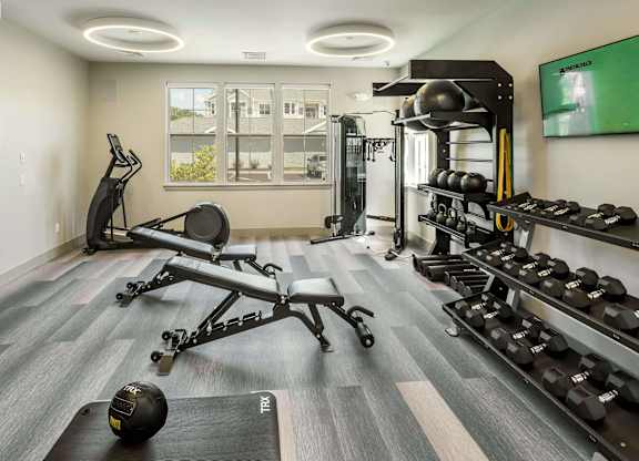 A gym with a row of dumbbells on the right and a row of exercise machines on the left.