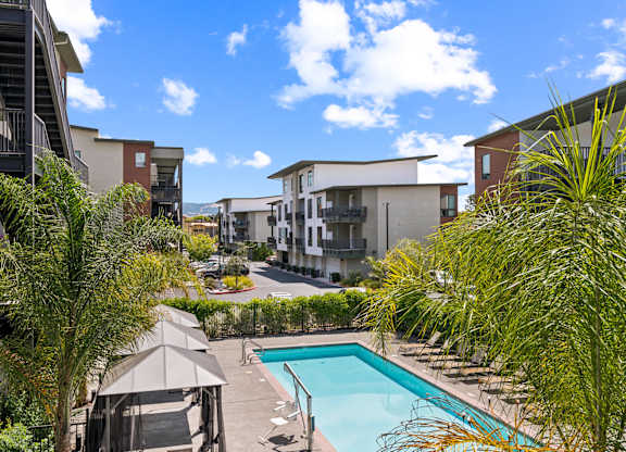 A pool surrounded by palm trees and apartment buildings.
