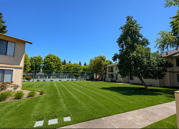 Lush Green Landscape at Camino Creek, California