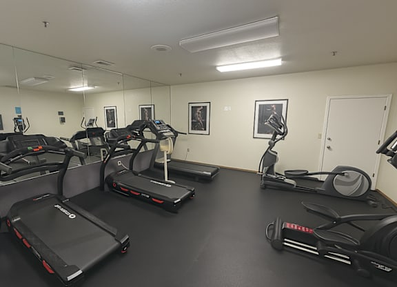 A gym with treadmills, elliptical machines, and a stationary bike.