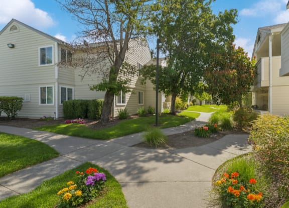 A residential area with a pathway and houses.