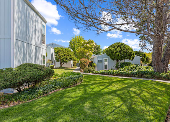 A well-maintained lawn in front of a row of houses.