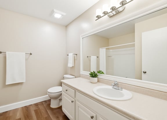 A bathroom with a toilet, sink, and mirror.