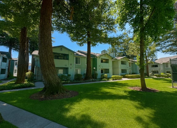 A row of houses with green lawns and trees in front.