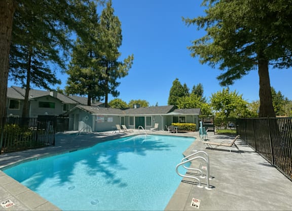 A swimming pool surrounded by trees and a fence.
