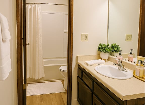 A bathroom with a white sink and a mirror.