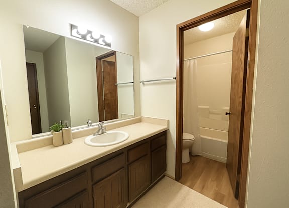 A bathroom with a sink, mirror, and toilet.