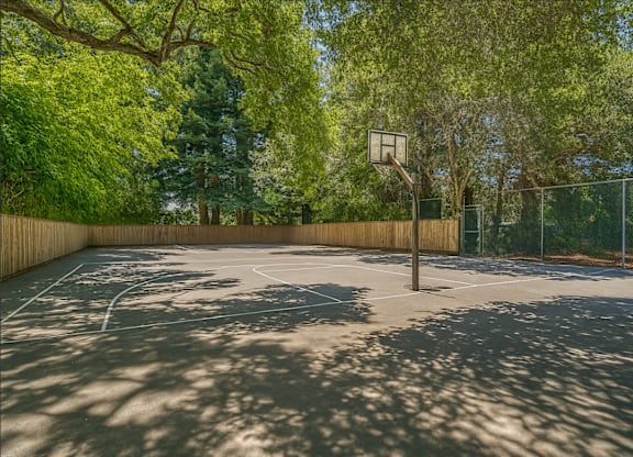 A basketball court surrounded by trees and a fence.