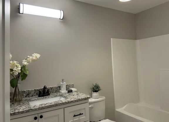 a bathroom with a sink and a bath tub