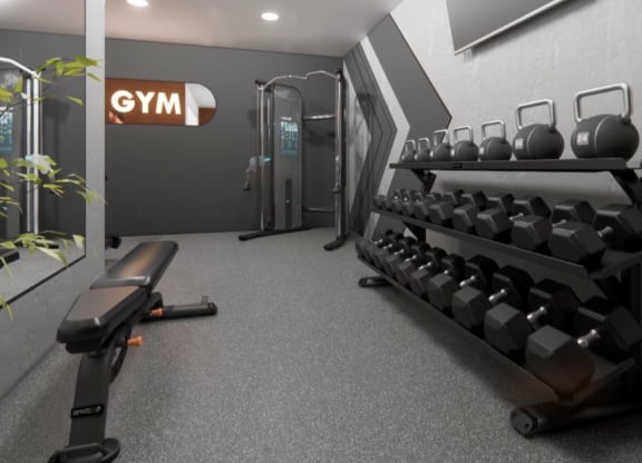 a gym with weights on a rack and a chair