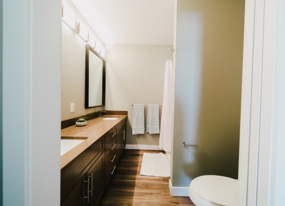 a bathroom with a sink and a toilet and a shower