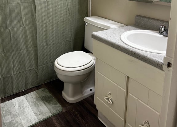 a bathroom with a toilet and a sink and a shower