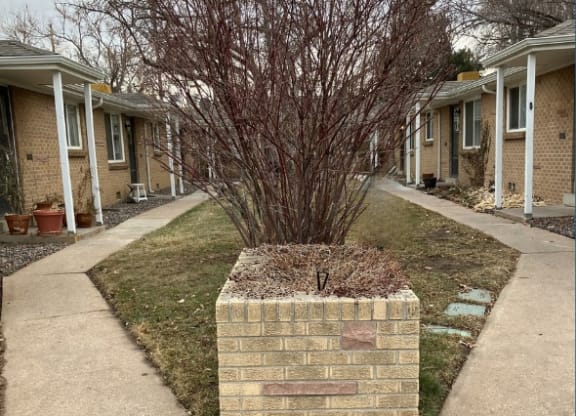 a brick planter with a tree in the middle of a sidewalk
