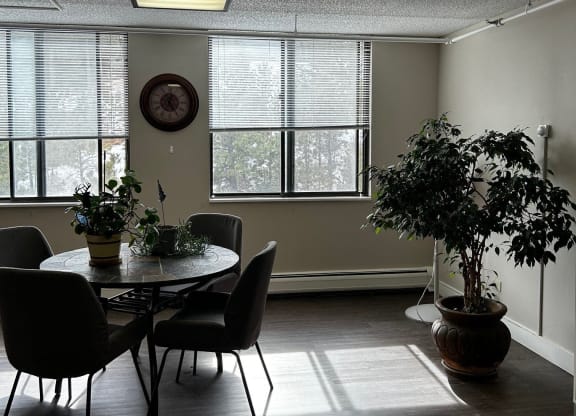 a dining room with a table and chairs and some plants