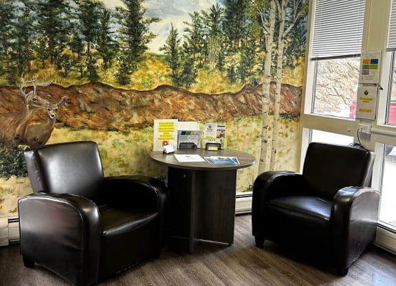 a therapy room with two chairs and a table and a wall mural of a forest