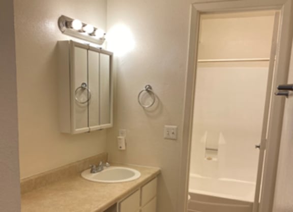 a small bathroom with a sink and a mirror