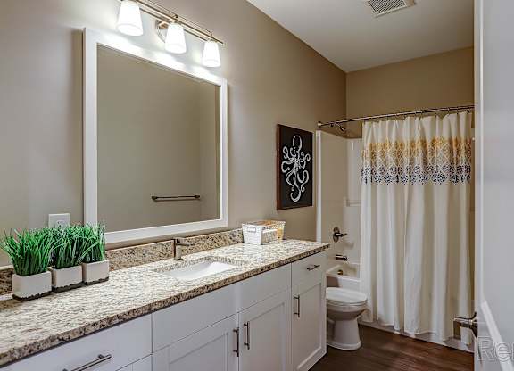 A bathroom with a sink, mirror, toilet, and shower.