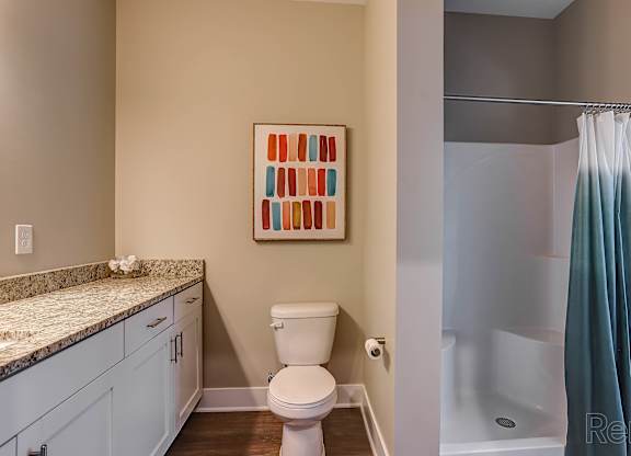 A bathroom with a toilet, sink, and shower.