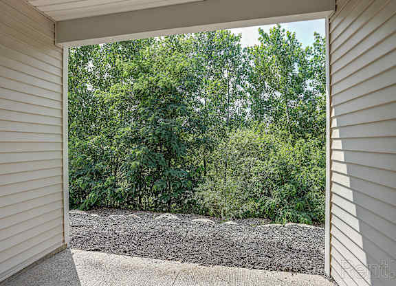 A view of a backyard from a covered patio area.