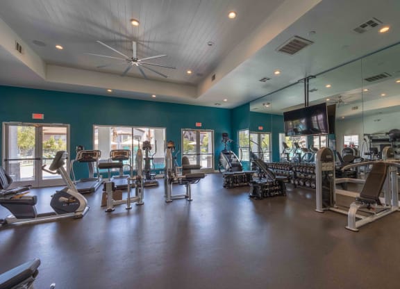 a gym with cardio equipment and weights in a building with windows