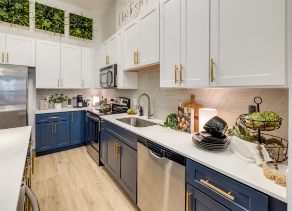 Midtown 205 Model Kitchen Details