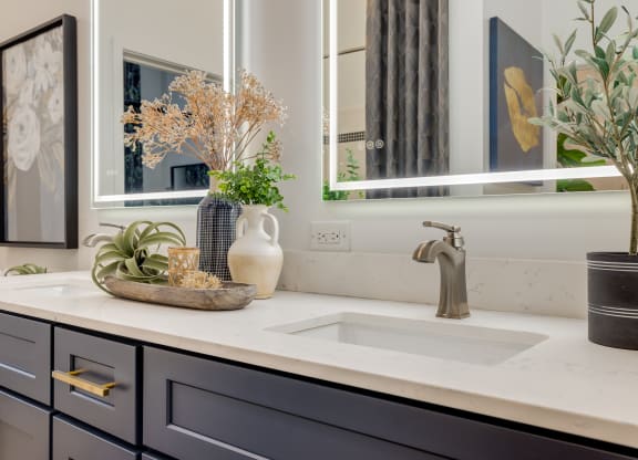 Midtown 205 Model Bathroom Details