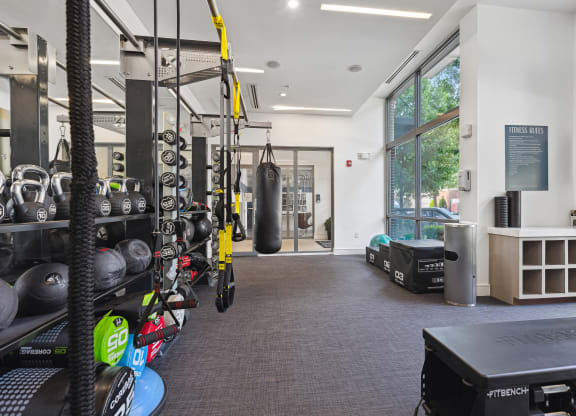 a gym with a punching bag and weights on the wall