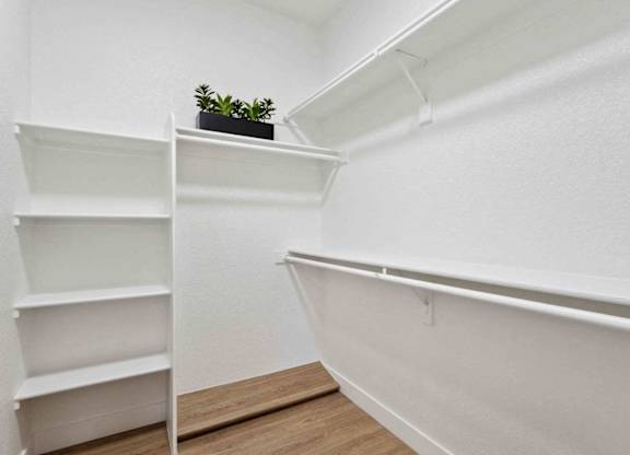 A small room with a white wall and a wooden floor with a shelf and a potted plant.