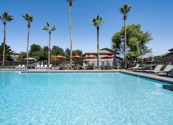 A large swimming pool surrounded by palm trees and lounge chairs.