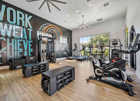 A gym with a variety of equipment including treadmills, weights, and a rowing machine.