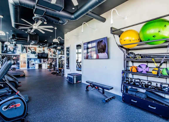 A gym with a variety of equipment including a stationary bike, a bench, and a wall-mounted rack with exercise balls.