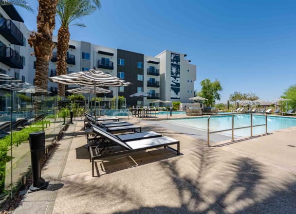 our apartments showcase a swimming pool
