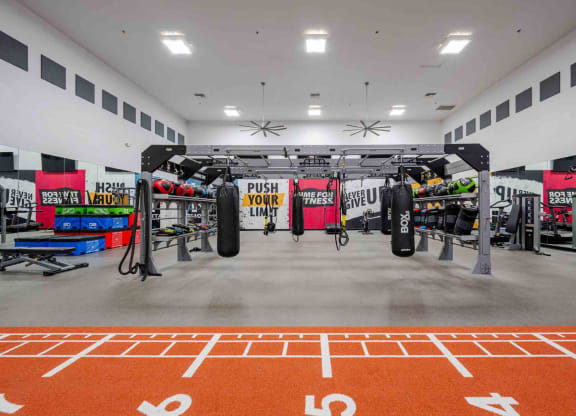 our free weights area in the gym