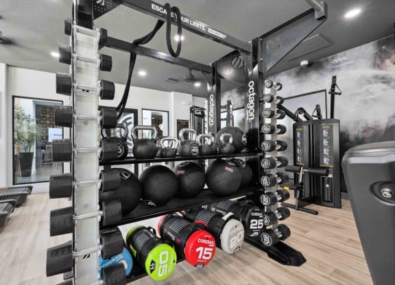 a home gym is a great method to save cash. take a look at the top home