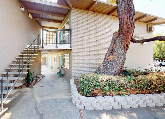 A tree is growing out of a planter box at Pennsylvania Place, Davis, CA