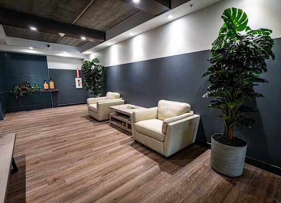 a waiting room with two chairs and a potted plant