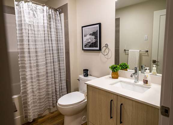 a bathroom with a toilet sink and a shower