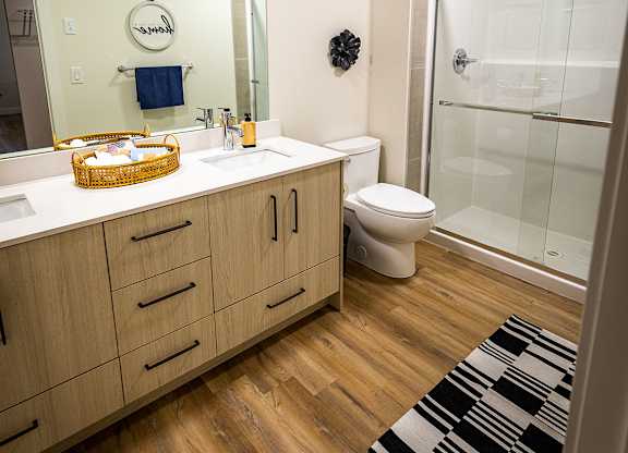 a bathroom with a sink and a toilet and a shower
