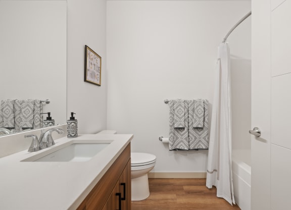 a bathroom with a sink and a toilet and a shower