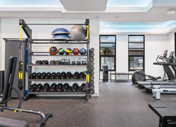 a gym with weights and cardio machines and a rack of spheres on the wall