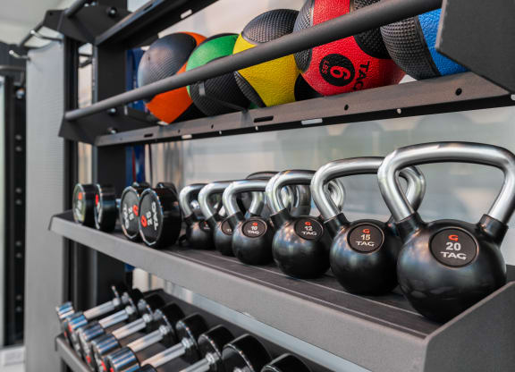 a row of dumbbells on a shelf in a gym