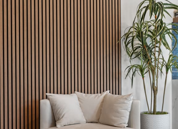 a living room with a couch and a potted plant
