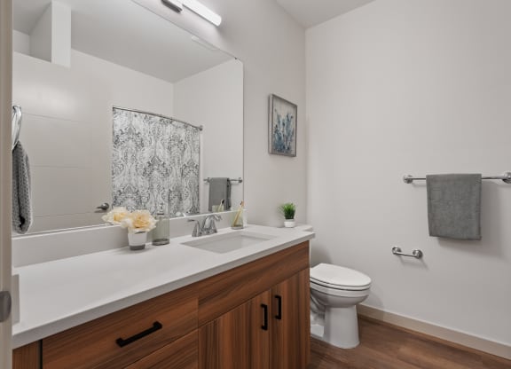 a bathroom with a large mirror and a sink and a toilet