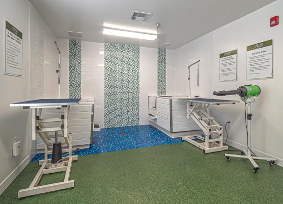 Dog Care at Heritage Court, Ewing