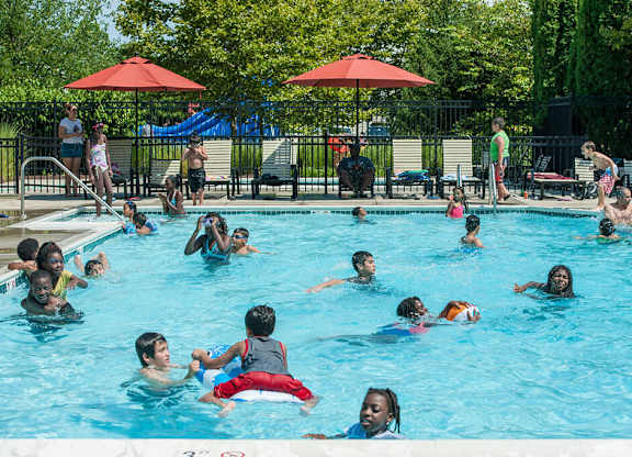 A group of people are swimming in a pool.
